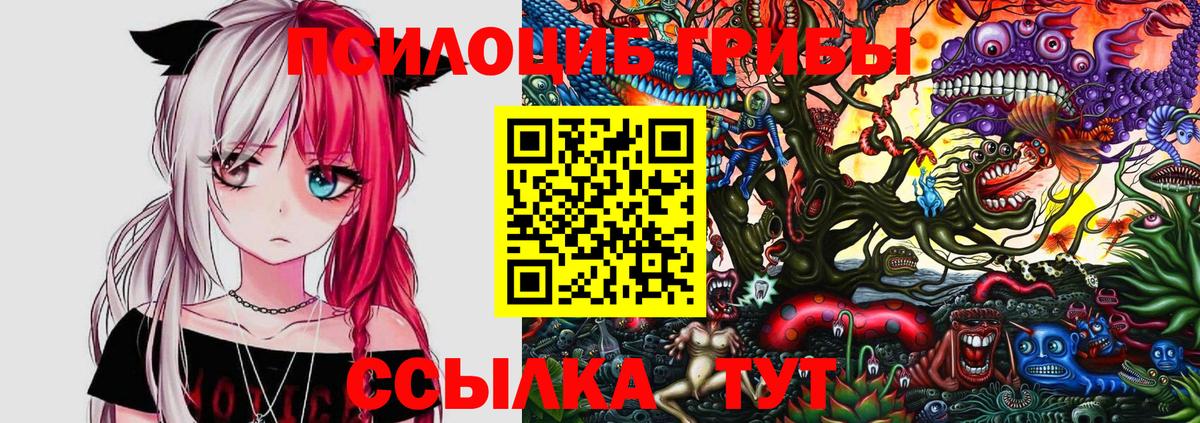 Псилоцибиновые грибы MAGIC MUSHROOMS Дубна