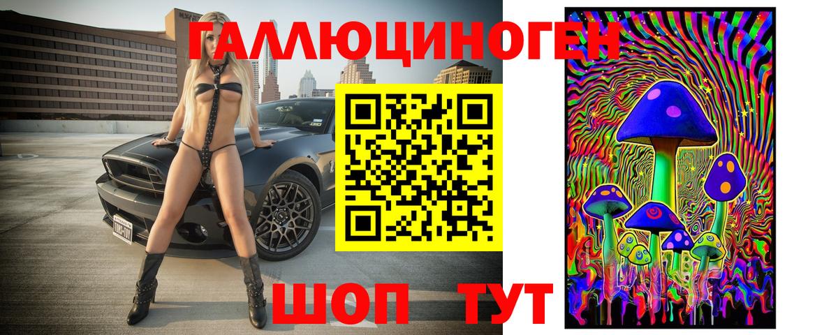 Галлюциногенные грибы прущие грибы  Галлюциногенные грибы Psilocybe  хочу   Дубна 