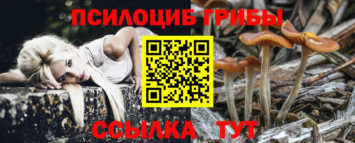 Галлюциногенные грибы мицелий  Псилоцибиновые грибы мицелий  Вход с VPN  Дубна 
