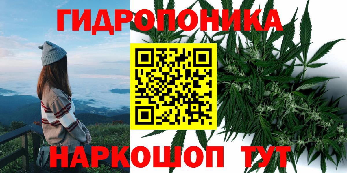 Каннабис Ganja Дубна